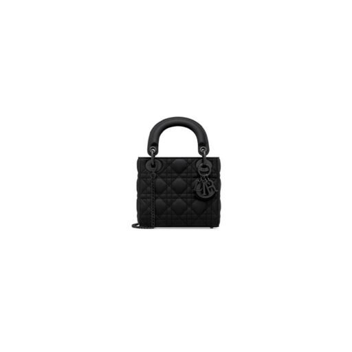 Mini Lady Dior Bag
