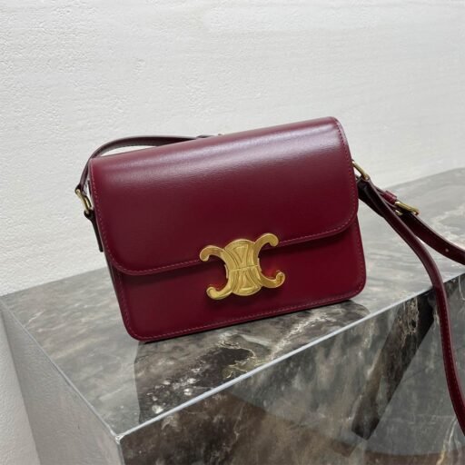 Celine TEEN TRIOMPHE BAG IN shiny calfskin(HIGH-END GRADE)