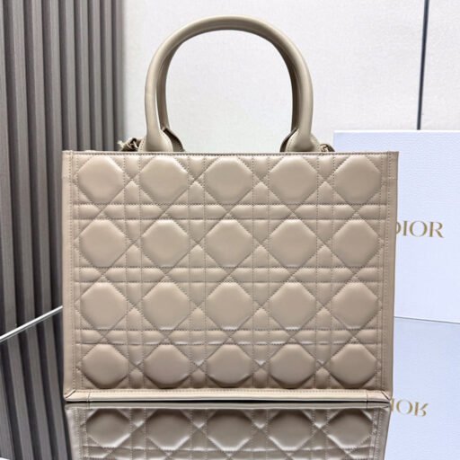 Dior Medium Dior Book Tote